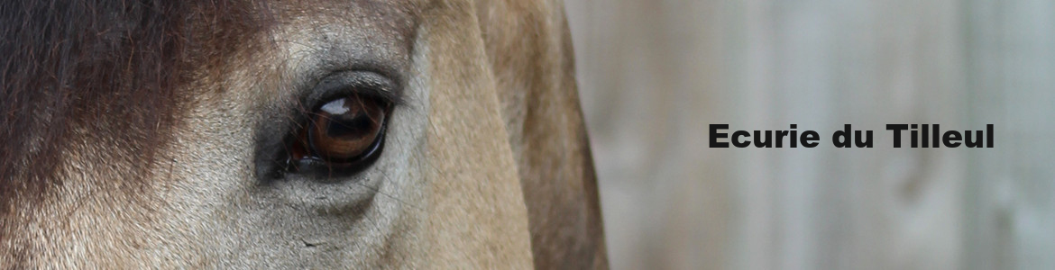 Ecurie du Tilleul